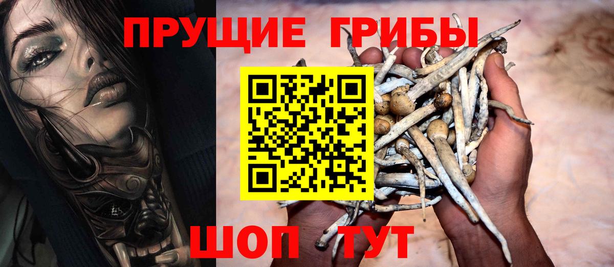 где купить   Галлюциногенные грибы MAGIC MUSHROOMS  Вход с VPN  Нефтекамск 